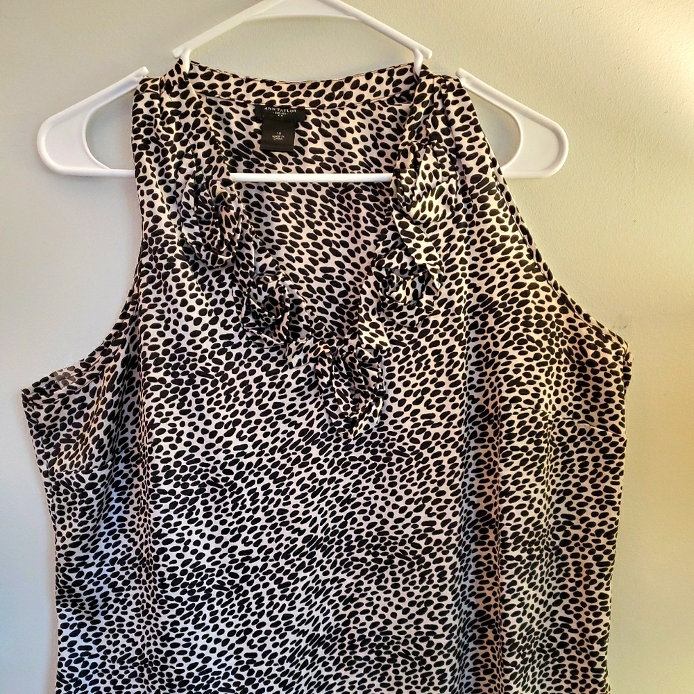 Ann Taylor 18 top